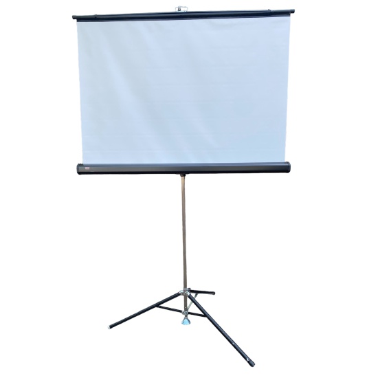 Projector Screen (2)