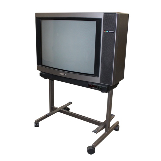 Sony TV (KV-21XMTU) on Stand