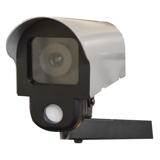 Curved CCTV Camera