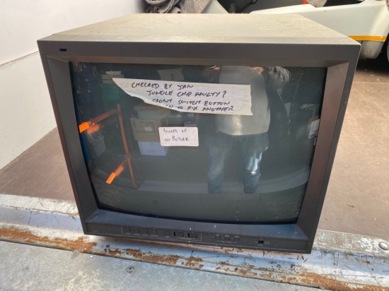 JVC Monitor TM-2100PNK