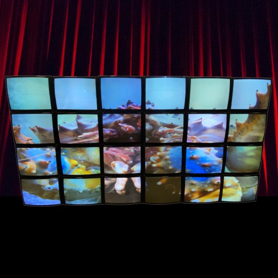 6x4 CRT Videowall System