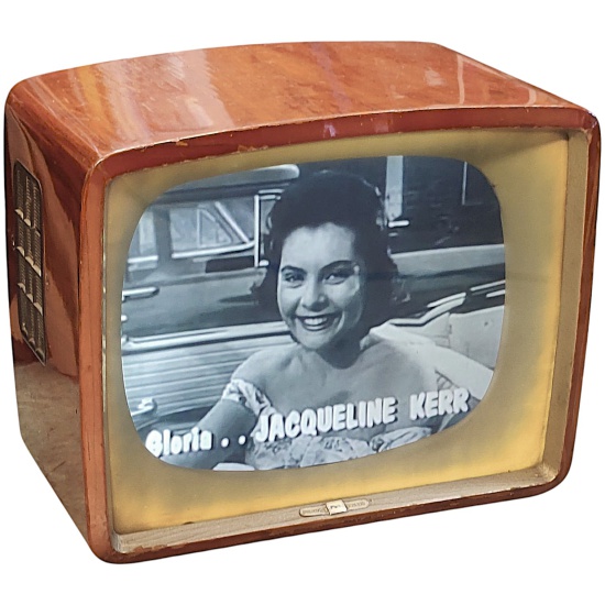 50's Polaroid Pam Screen (Camera Friendly)